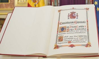La Constitución sustituirá el término «disminuido» por «persona con discapacidad»