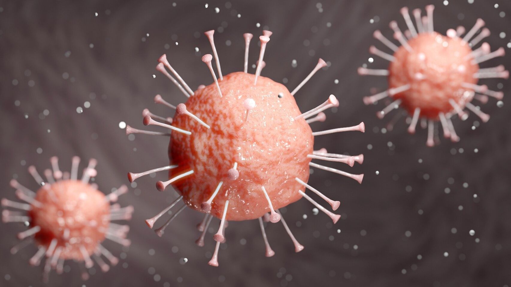 Coronavirus-Enfermedades_infecciosas-Infecciones-Salud-Estado_de_alarma-Como_hacer_475214033_148430364_1706x960