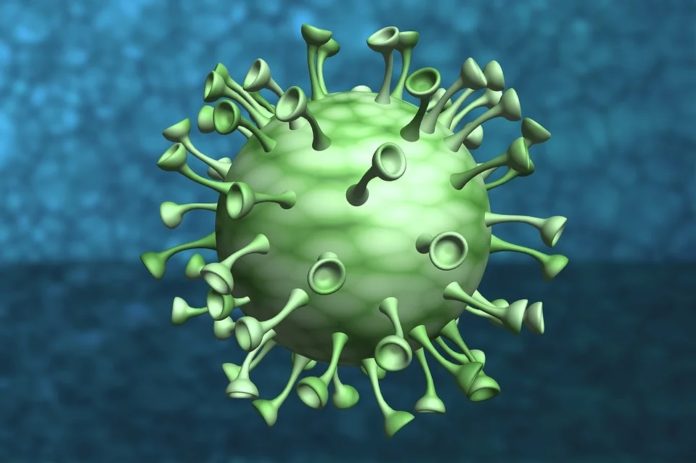coronavirus-bola-verde-696×463