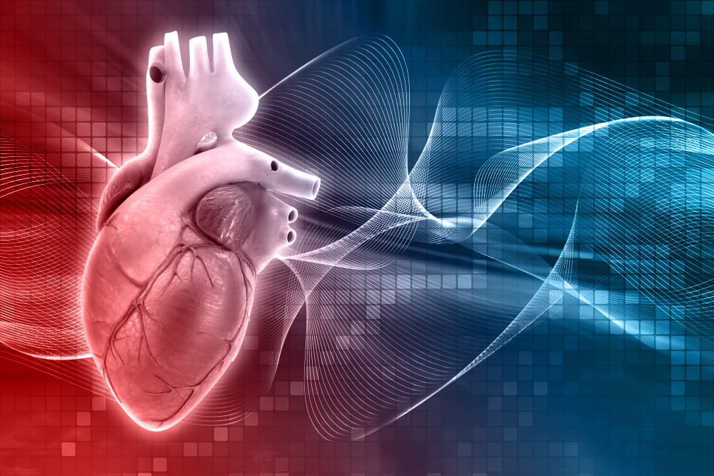 Las nuevas guías ESC recomiendan cribar la enfermedad renal crónica en todos los pacientes con enfermedad cardiovascular